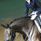 Reines longues