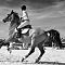 Le galop.