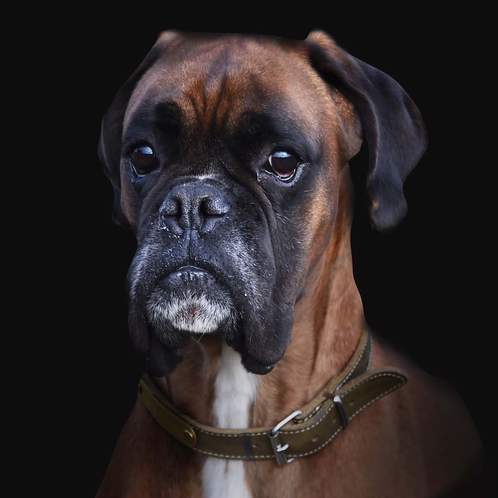 Comme un portrait d'école.